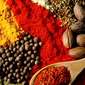 indian cuisine