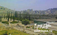 49202-thumb1