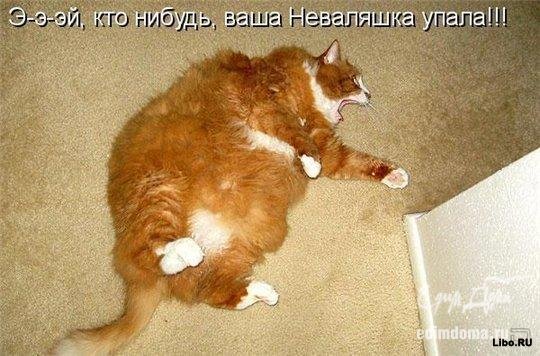 77723-real