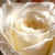 tania26031981