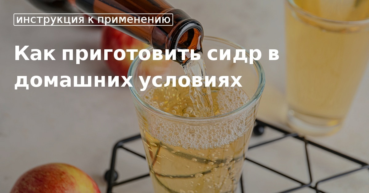 Рецепт приготовления яблочного сидра в домашних условиях | steklorez69.ru