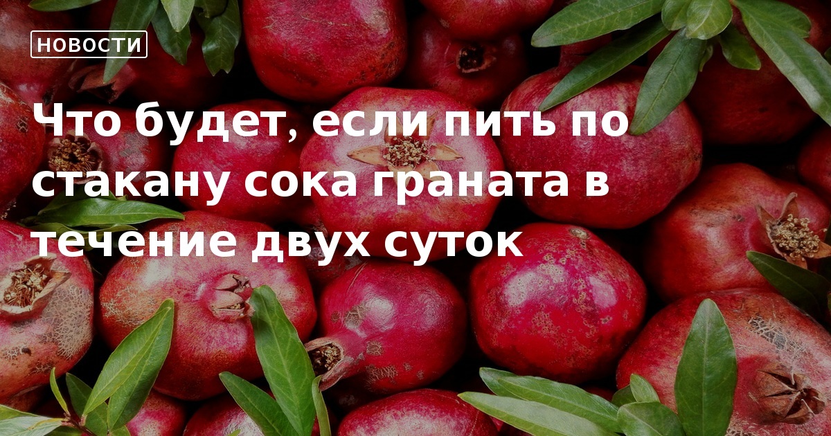 Гости выпили еще по стакану встали из за стола и простились с пугачевым