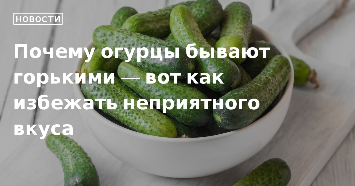 Почему огурцы бывают горькими