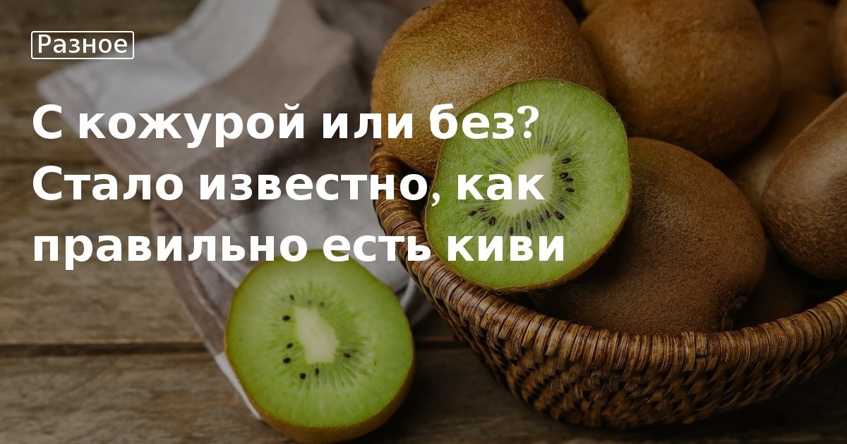 Как вырастить кинзу на подоконнике к праздникам: вкусная и ароматная зелень