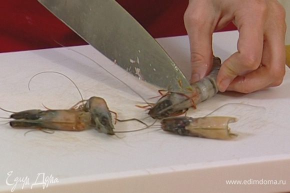 Rigging a Live Shrimp