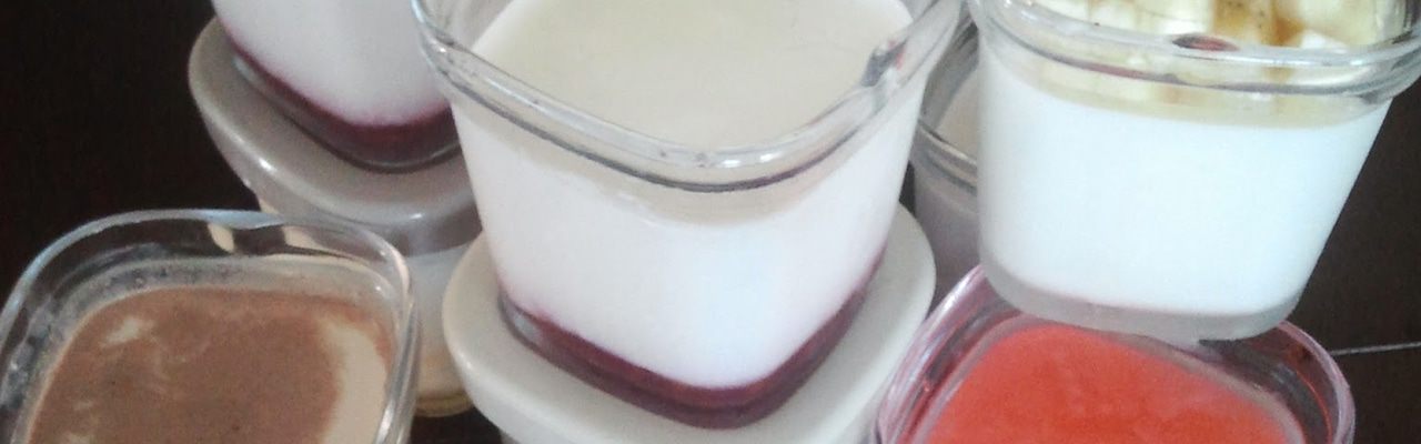 Йогурт из йогуртницы – полезная и вкусная альтернатива магазинной продукции
