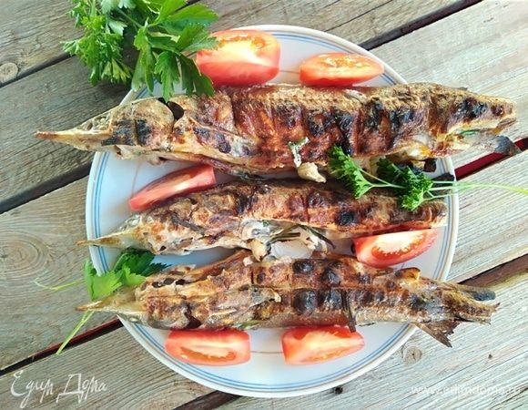 Вкусные рецепты шашлыка