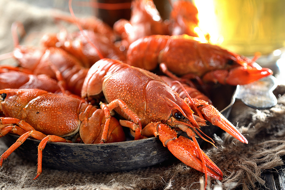 Соль Lobster Salt для содержания и разведения ракообразных, ведро 18 кг